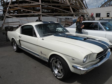 white mustang